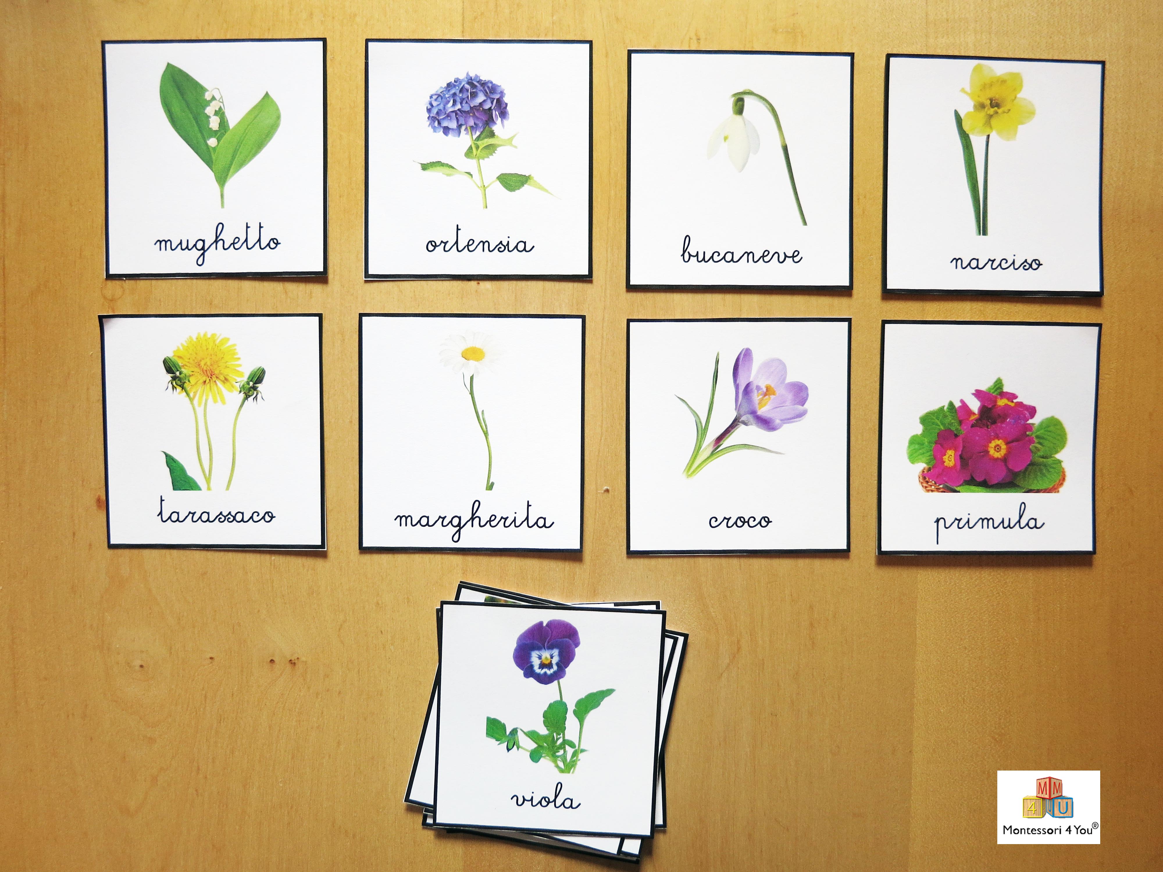 Come Si Dice Fiore In Inglese